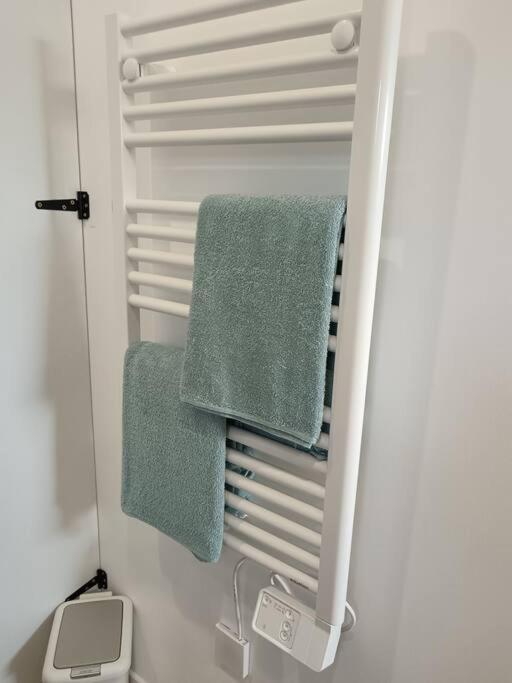 Chalet Cosy Avec Option Jacuzzi Saint-Genes-de-Fronsac المظهر الخارجي الصورة